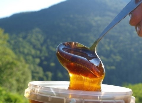 قیمت خرید عسل کوهی ایرانی عمده به صرفه و ارزان